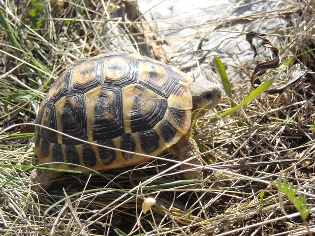 escursione in alta murgia